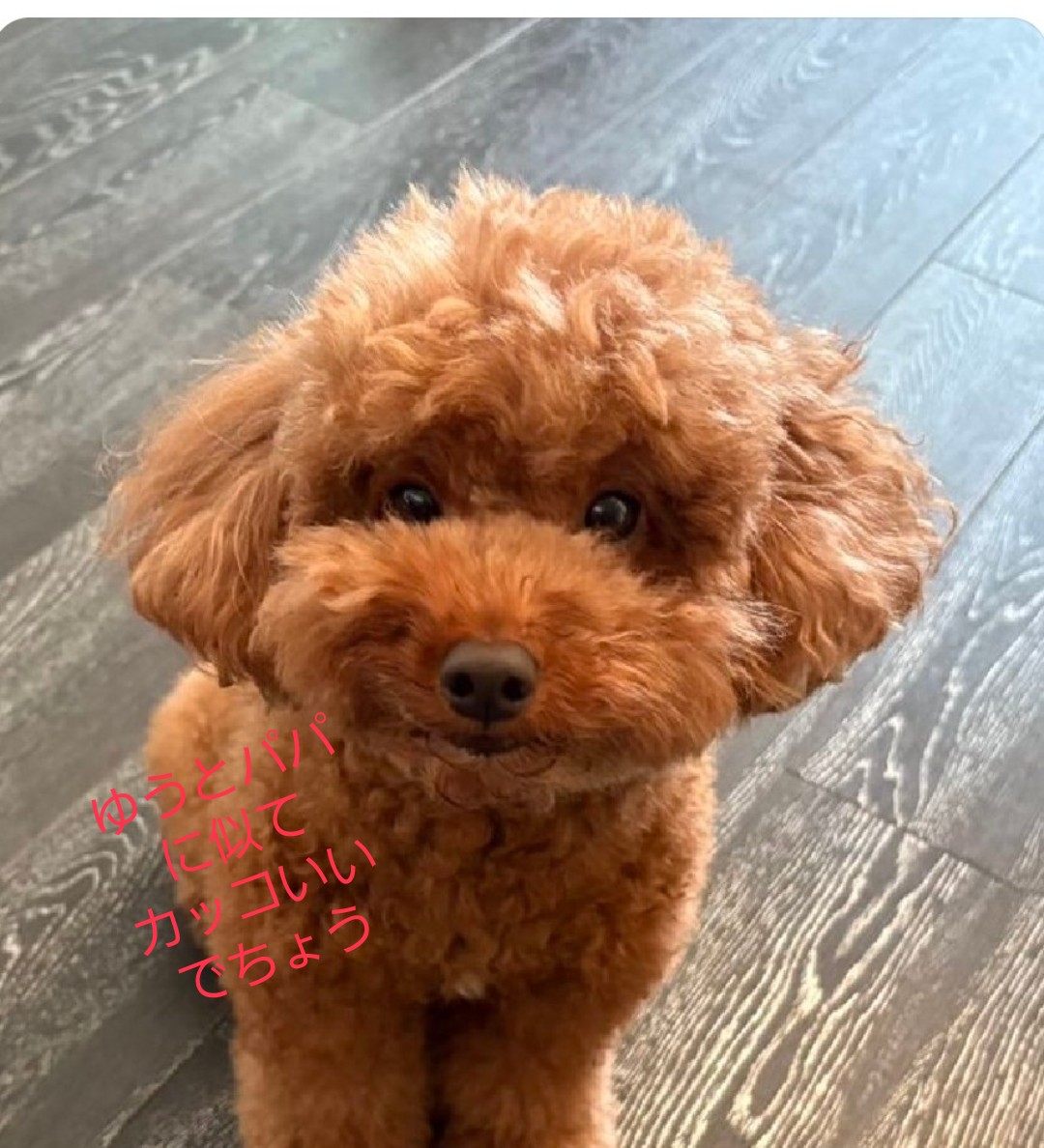 フミくん フミ on X