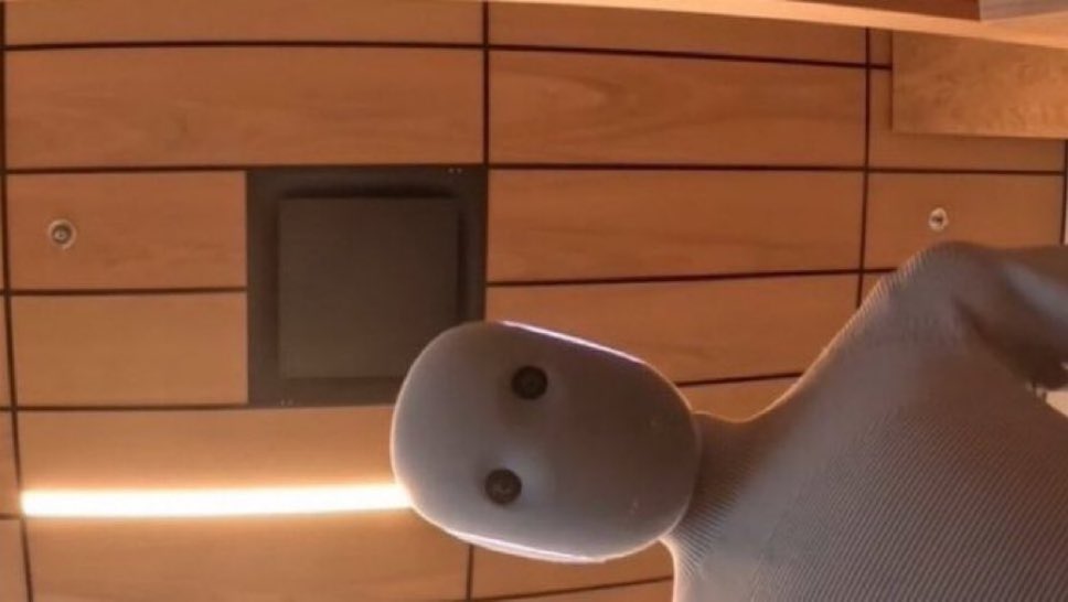 When I ask the NEO robot to stroke my shit do I get to choose the Indian that teleoperates it or nah