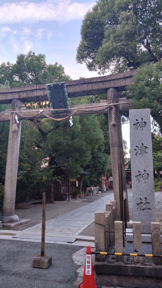 🇯🇵ポンタ🇯🇵称呼番号272番 (@Ponta_AMEX) / Posts / X