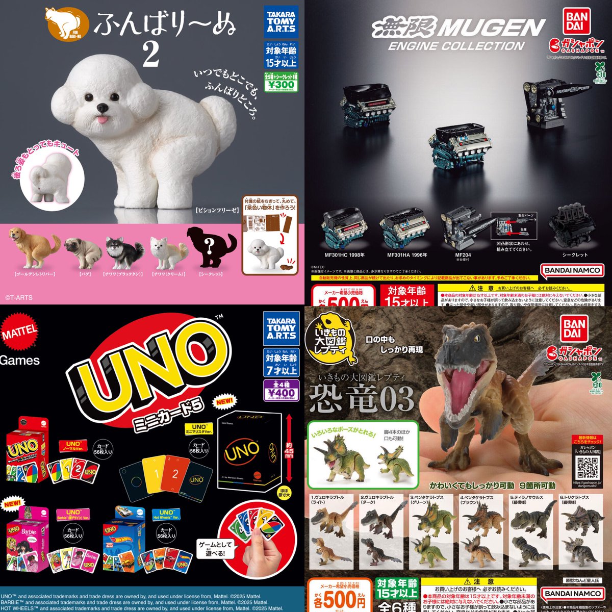 ③12種入荷しました