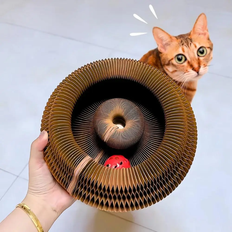 liccapets's tweet photo. Most cat toys don’t really give cats what they crave...
That’s why we designed the Licca Curling Toy – to keep your indoor cat entertained and full of energy!