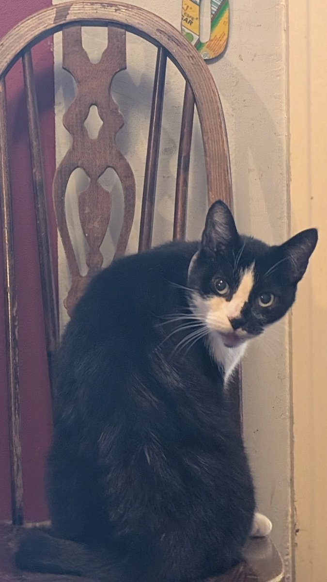 What you looking at?