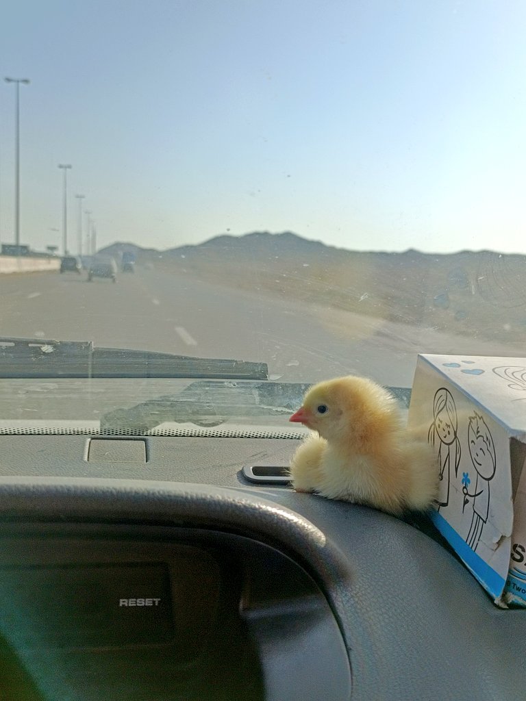 عِــــفــــ𝕏 tweet media