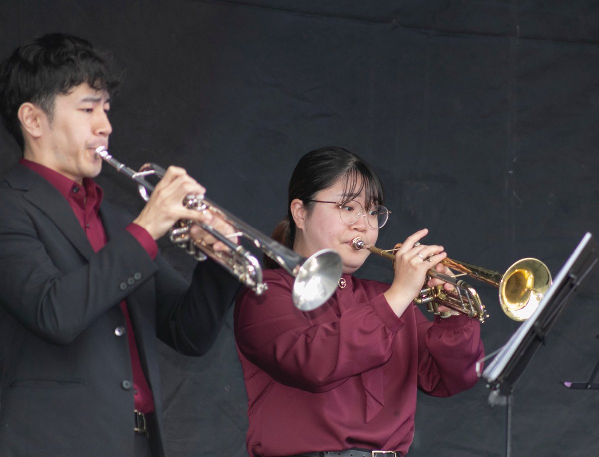 Brass Ensemble Dice tweet media