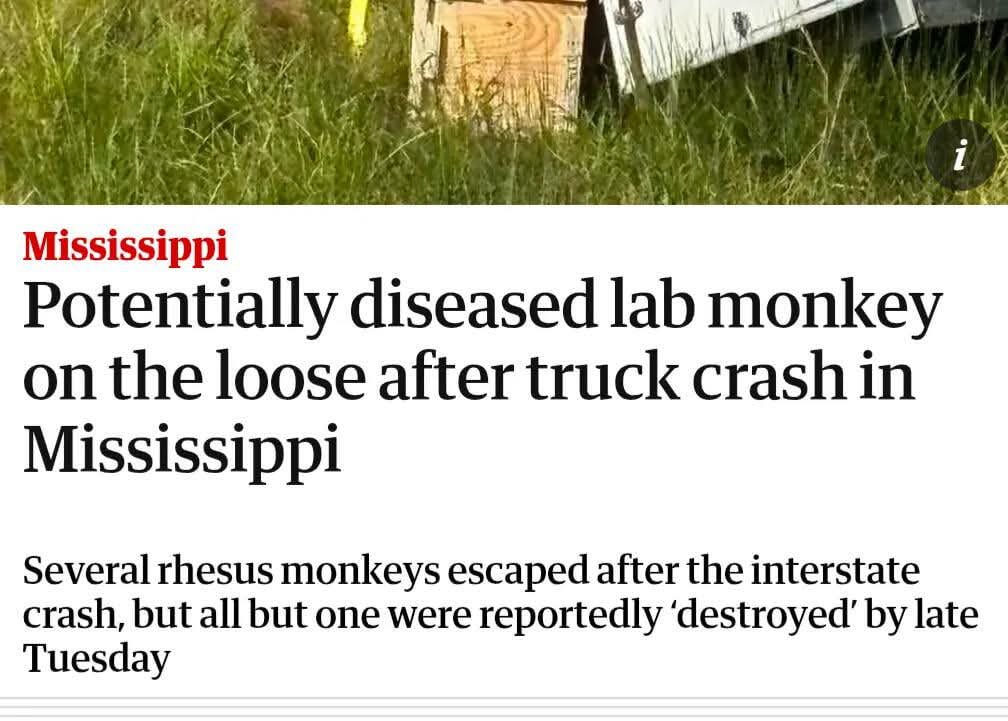 Saw Diseased Lab Monkey at the Brixton Academy etc etc