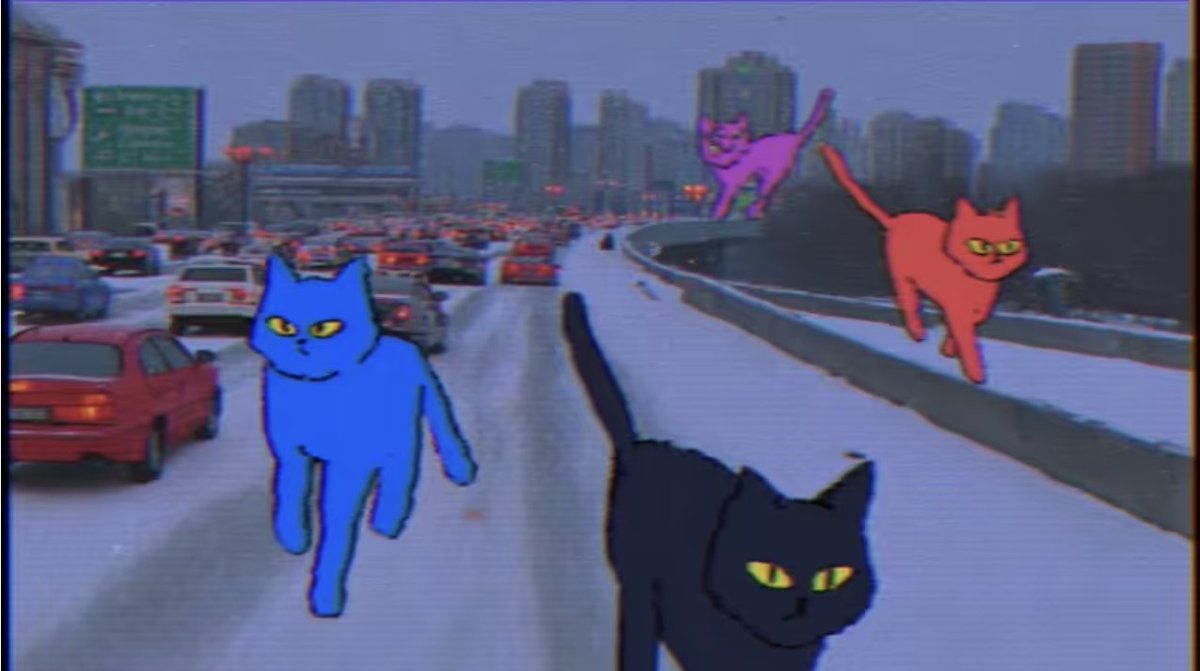 crptsmmr's tweet image. GM ☀️

And good morning to my Doodletoon Cats
by @szkandal_