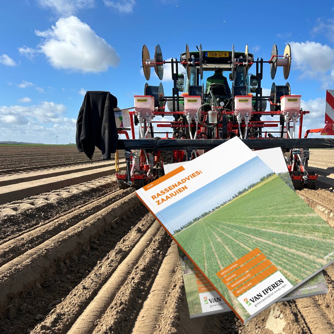 VanIperenBV's tweet photo. 🧅Rassenfolder zaaiuien 🧅
In onze nieuwe rassenfolder zaaiuien vindt u alle eigenschappen van de beschikbare uienrassen. Maak op basis van metingen en proefresultaten de beste keuze voor aankomend jaar. Hij komt volgende week bij u op de mat of lees hem nu alvast op onze website : https://t.co/bvEZolKxfd