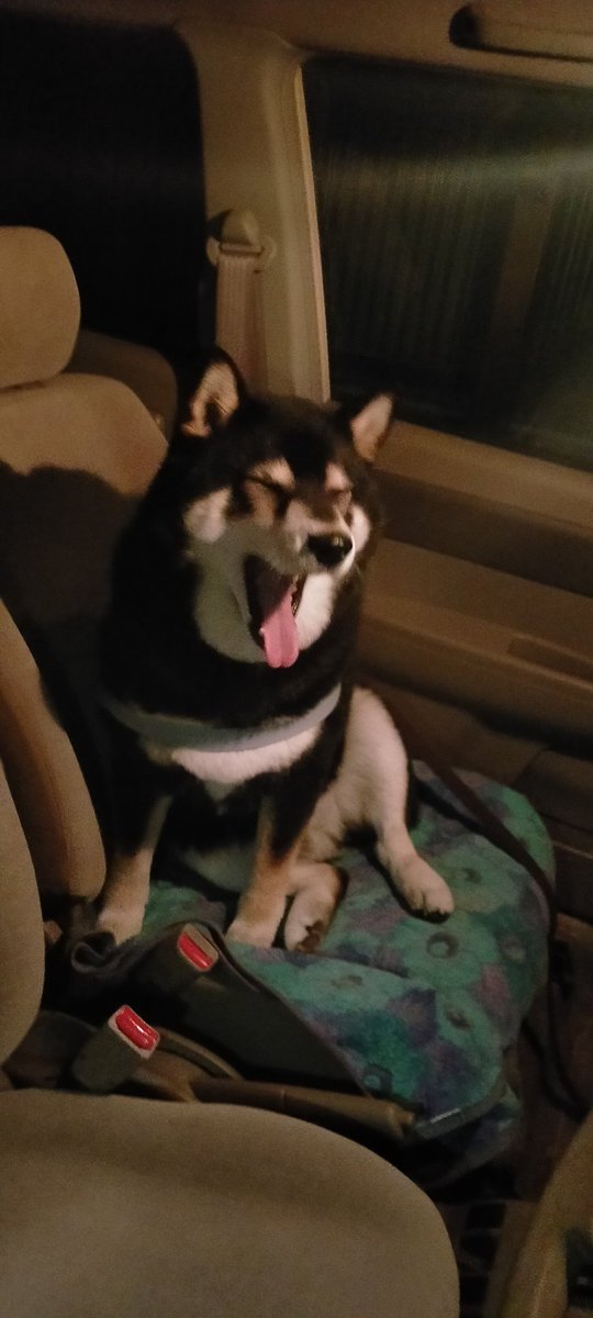 まめたろう (@mamemamemakmaki) / Posts / X