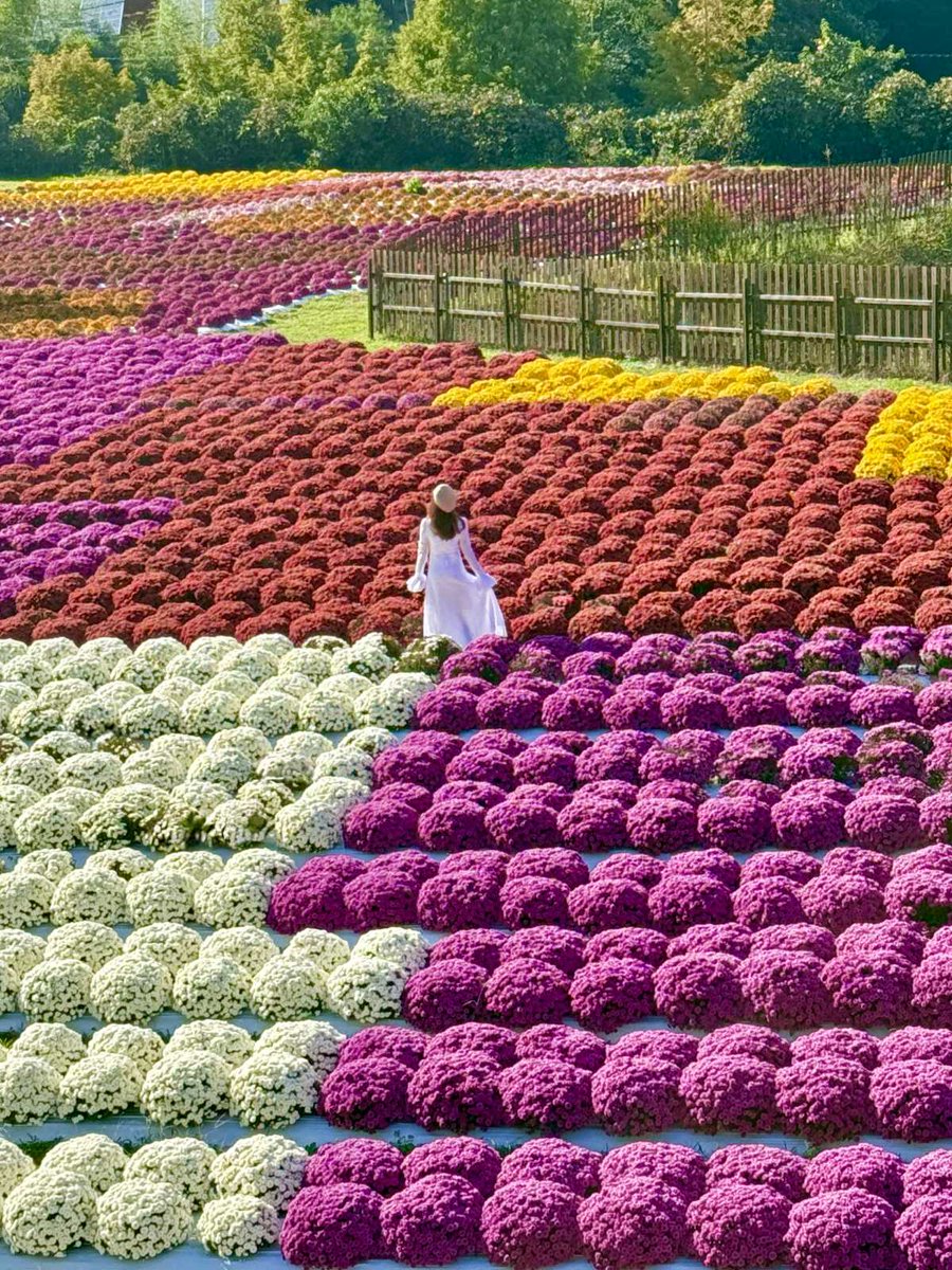 美しすぎる！今話題の絶景フラワーガーデン♥