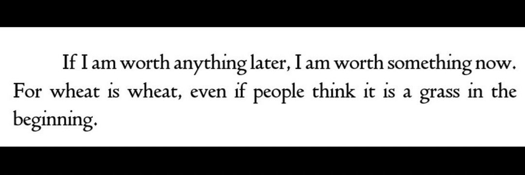 Sunlight_prism's tweet photo. Just came across one of Vincent van Gogh’s letters— he wrote:
“If I’m worth something later, I’m worth something now. For wheat is wheat, even if people think it is grass in the beginning.”

Timeless reminder of self-worth.🌾 https://t.co/jqEtM3UQS6
