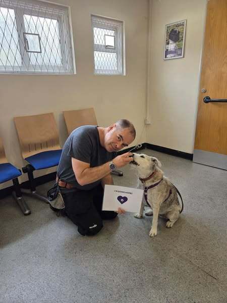 Together For Animals 🐱🐶🐴 tweet media