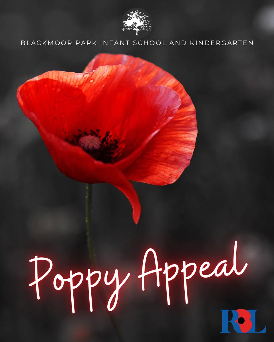 bpinfant's tweet image. We are proud to be supporting the #PoppyAppeal! 🌺 Poppy merchandise will be on sale at the end of the school day from Monday, while stocks last. All proceeds go towards supporting the Royal British Legion 💷🙏🏻. (Cash only) @PoppyLegion 
#Remembrance #PoppyAppeal2025 #BPIHistory