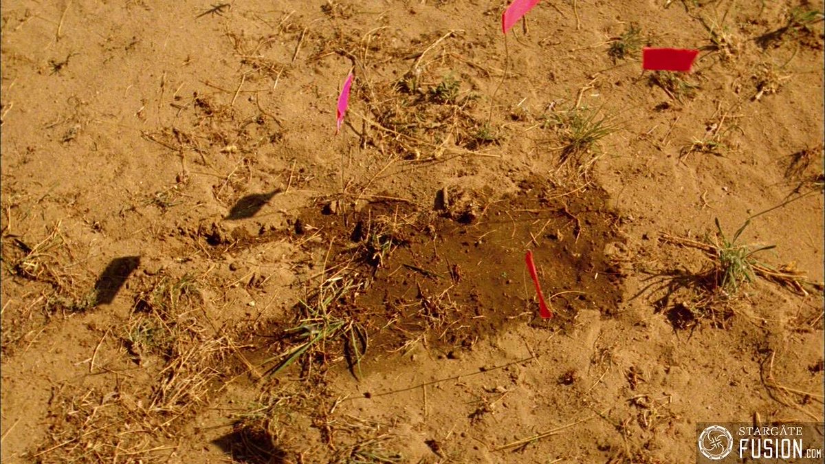 sholvah2010's tweet image. #GuessTheStargateEpisode
Round 3249

@StargateNow_EU
@PrimeVideo
@AmazonMGMStudio

#WeWantStargate 
#TimeForStargate
#WeWantBradGate
#52WeeksOfStargate