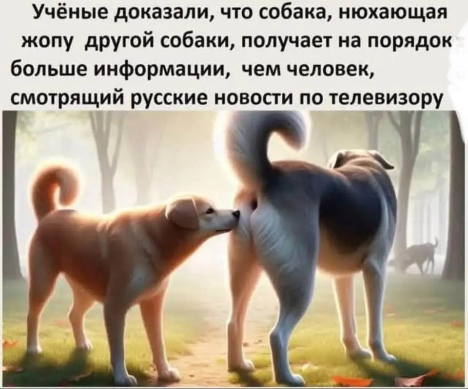 Andrey Smetanenko (@andreysmetanen6) on Twitter photo 