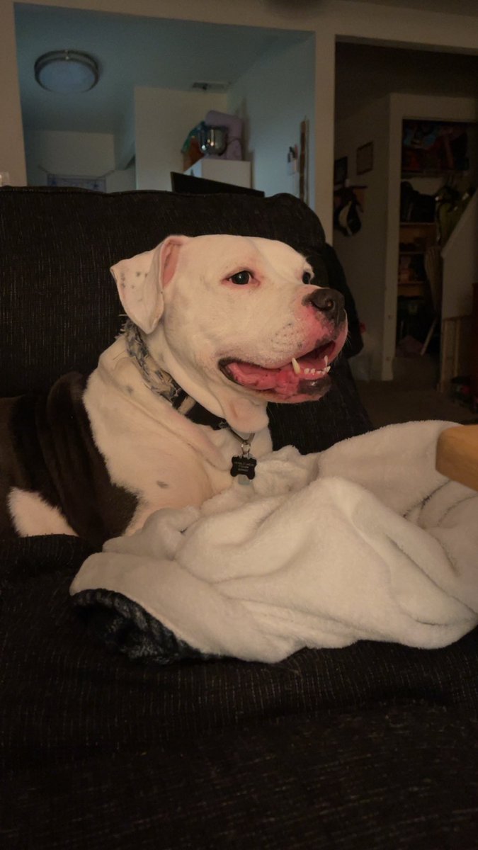 KearHD's tweet image. I’m home, surgery went great. They had to put 4 anchors in and round off my femurhead. Now to get back to normal! #FAIsurgery #hiparthroscopic #recoverytime 💪🏻