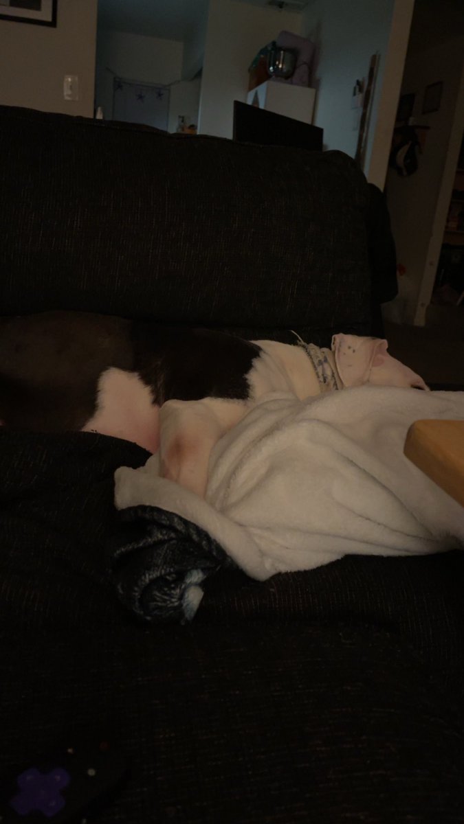 KearHD's tweet image. I’m home, surgery went great. They had to put 4 anchors in and round off my femurhead. Now to get back to normal! #FAIsurgery #hiparthroscopic #recoverytime 💪🏻