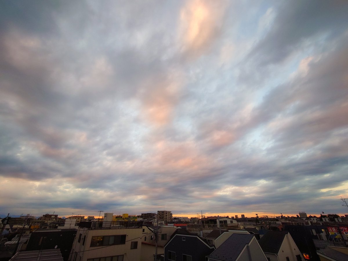 もぐもぐ (@_mogumogu_555) / Posts / X