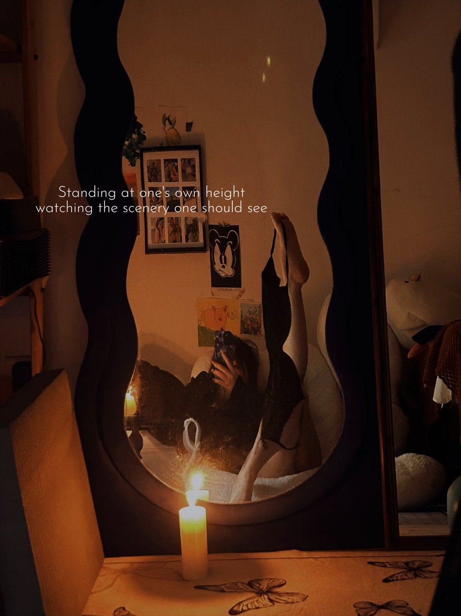 Camellia(山茶） tweet media