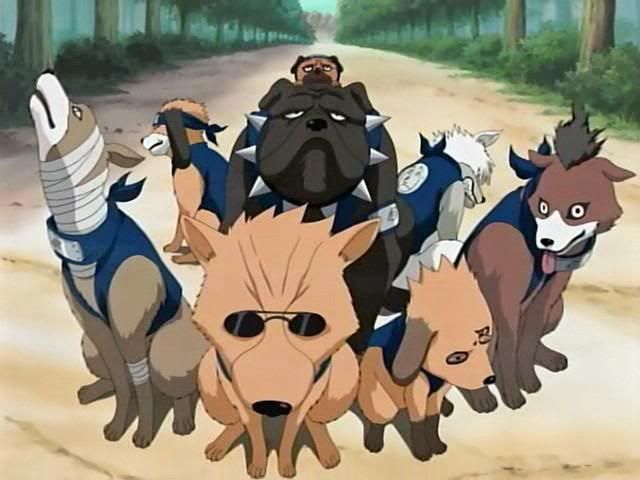 Aí você vai passar a mão na coxa da mina no cinema e invoca os 8 cachorros do Kakashi kkkkkkk