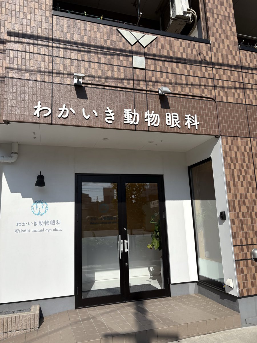 shutamaru558's tweet photo. 動物の眼科とかあるんだ👀なかなかニッチで面白い🐈🐈‍⬛👍 https://t.co/qk35tQvcps