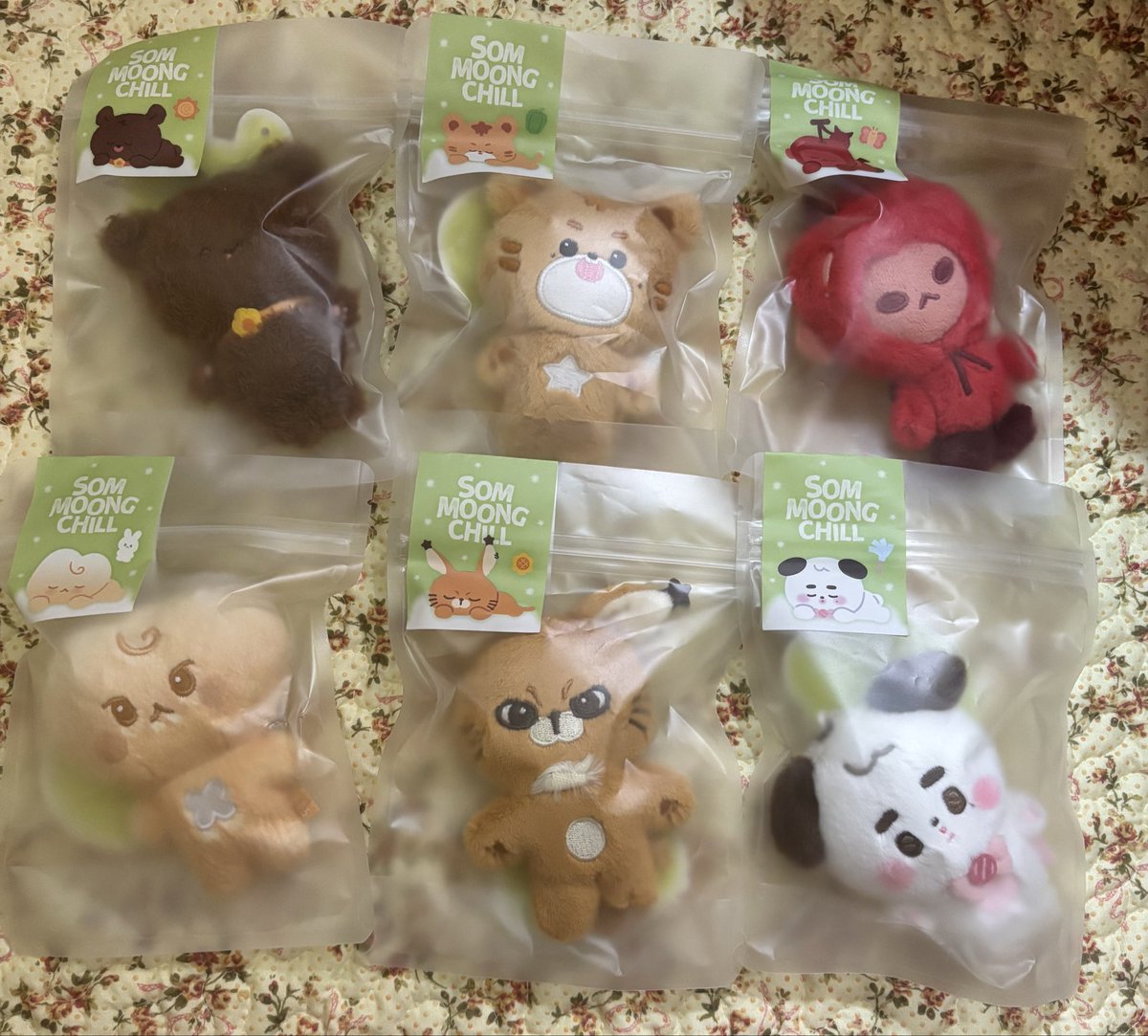 hellotaeoxo's tweet photo. wts som moong chill johny yuta doyoung jungwoo mark haechan 

250k/ea
excl adm 🍊 13%
ready ina
📍jaksel https://t.co/XOOQzfEerY