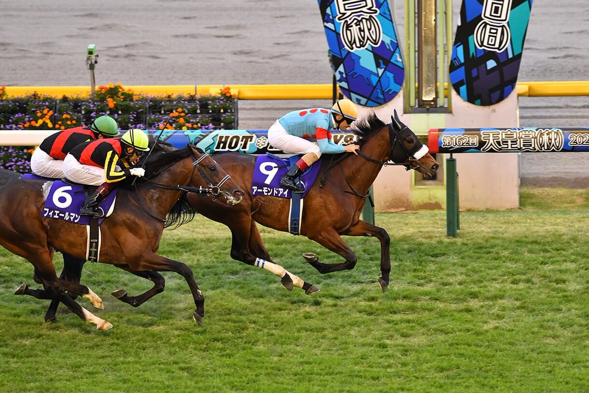 ヒシミラクル】最新競馬情報！ on X