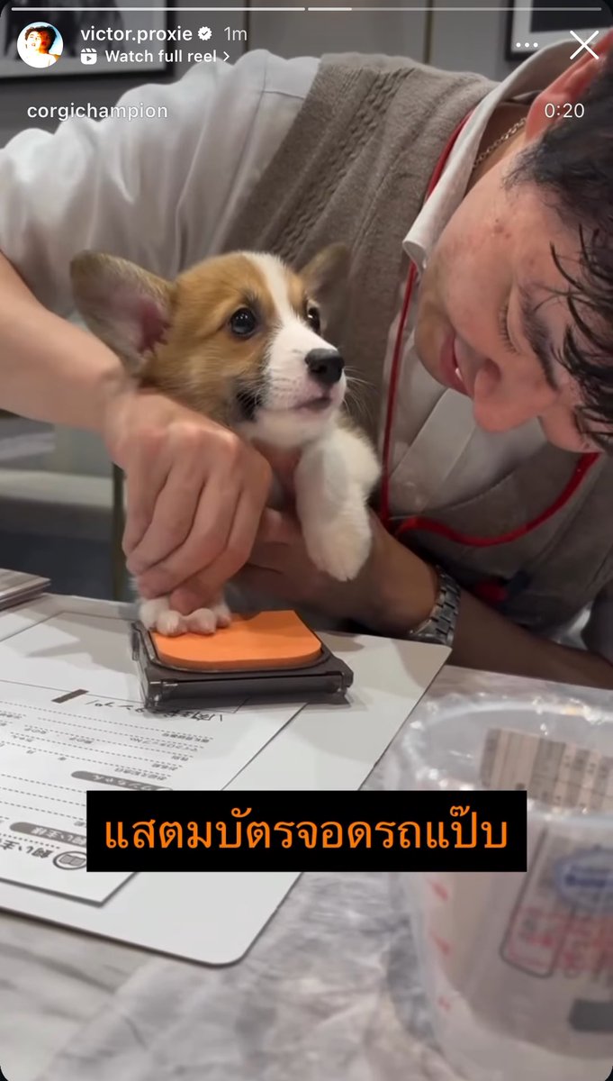 click_scene's tweet photo. เอ็นดูแคปชั่น555555 https://t.co/3aqDGdb7O7