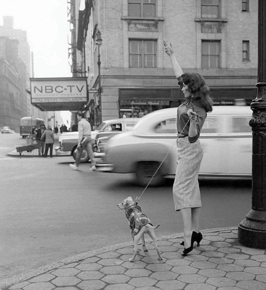 .

New York City street corner, June 1956

 📸 Herman Leonard  (American  1923-2010)

.