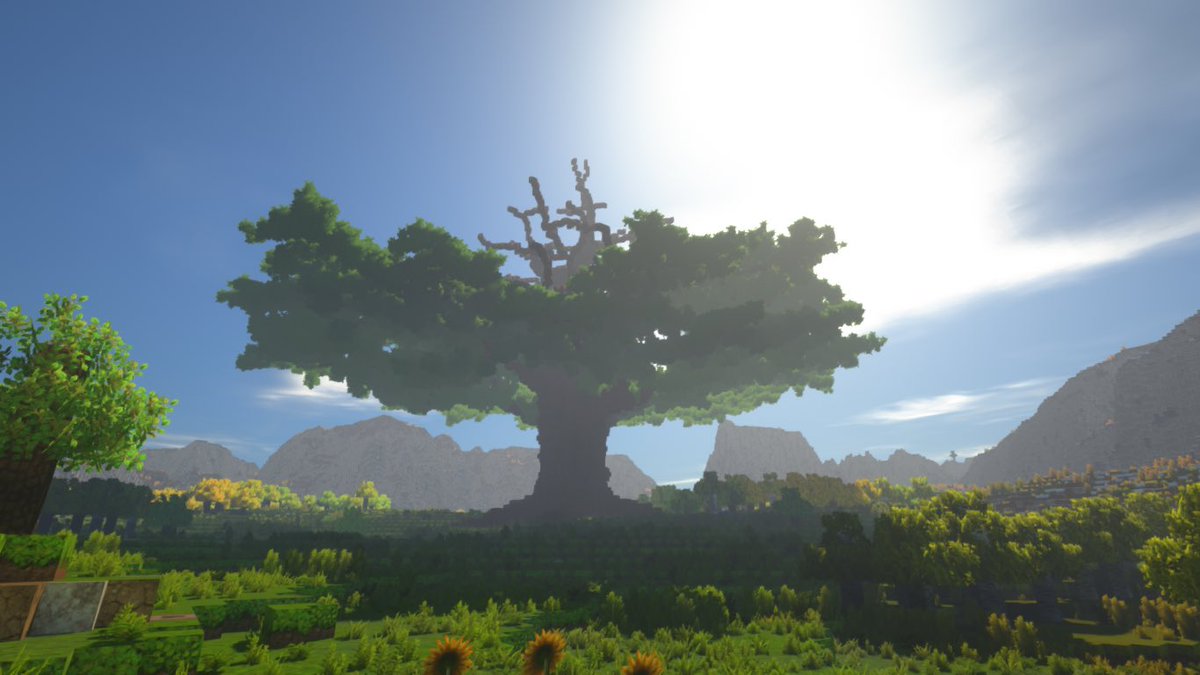 柚子 tweet media
