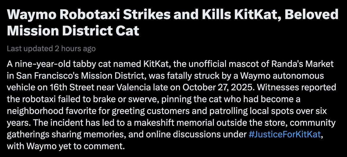 RIP KitKat - You Will Not Be Forgotten! 🕊️❤️