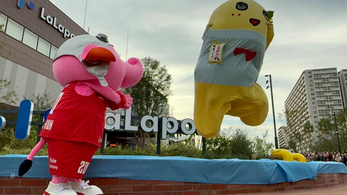 ヾ(。゜▽゜)ノおいっす！