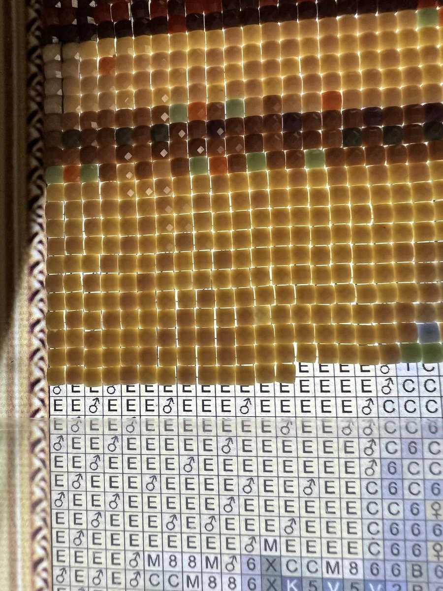 姫・宮殿ドレッサー⭐︎参考上代800,000万円 日数要（5〜10日程度） 高画質 雅子さま奉迎ひとりひとりにキッチリ目線のお優しい配慮!! 天皇