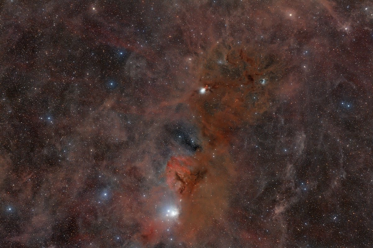 BrianThePrimate Astro tweet media