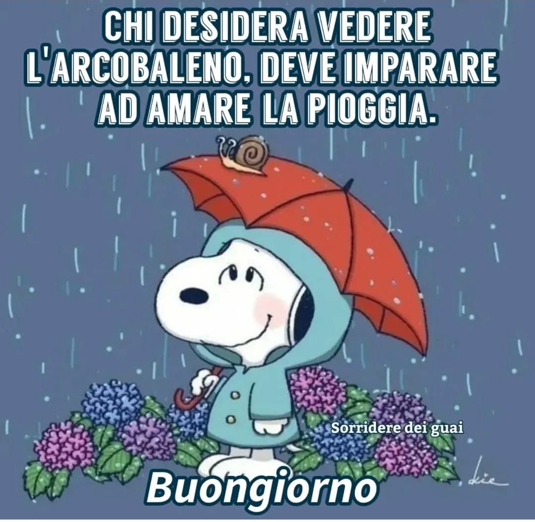 Marianna tweet media