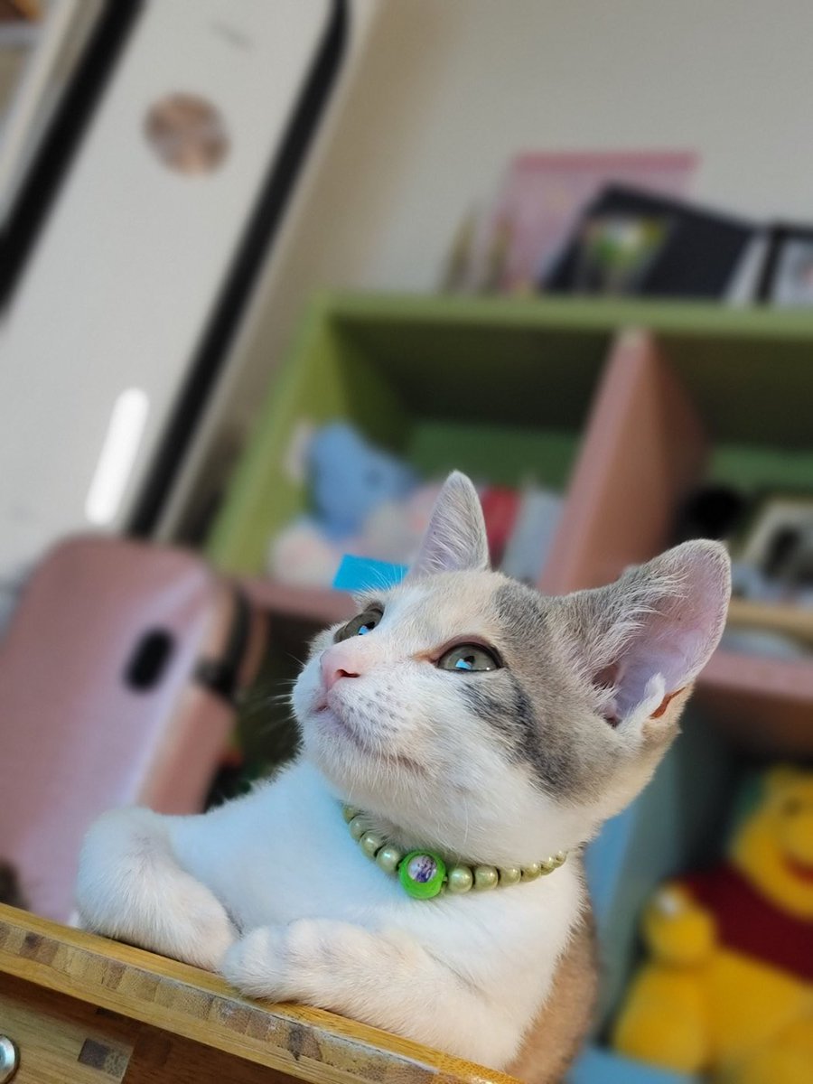 저희집 누룽지 보고 가세요~