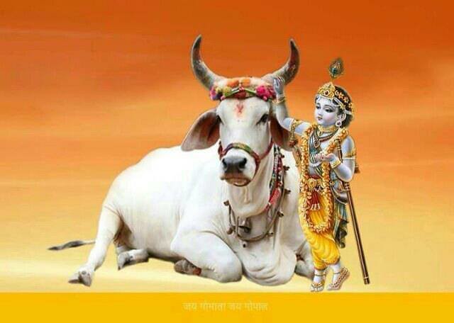 Navneetsingh_d's tweet photo. हिंदुत्व वही मर जाता है
जब तुम 33 कोटि देवी देवता को छोड़ किसी लावारिस
लाश की मजार पर नाक रगड़ने जाते हो ! https://t.co/8vBClY894G