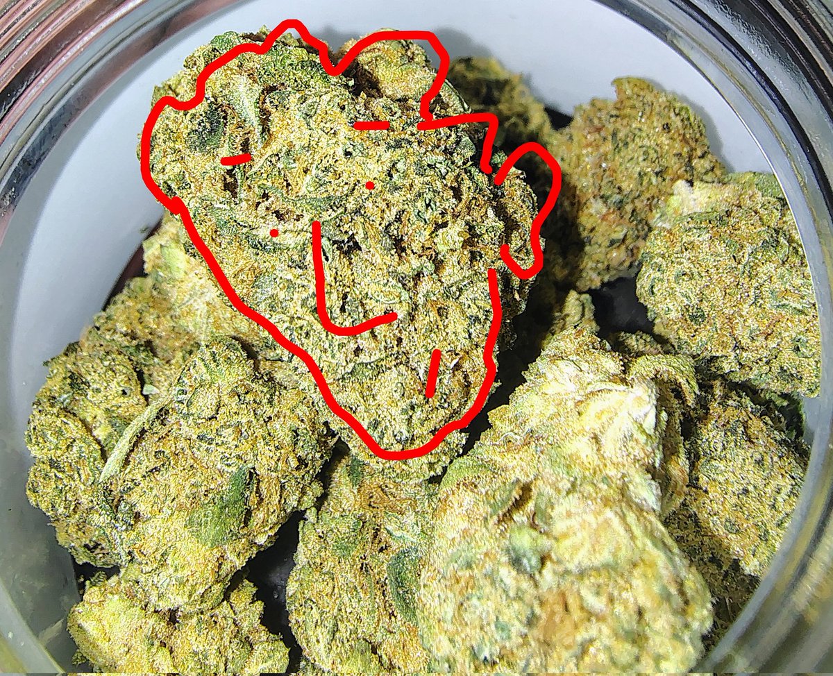 If I had a stylus this probably lookin' like Conan O'Brien. Anyways it's Animal Face... Do you see the face? hehehehehe *Seth Rogan laugh*