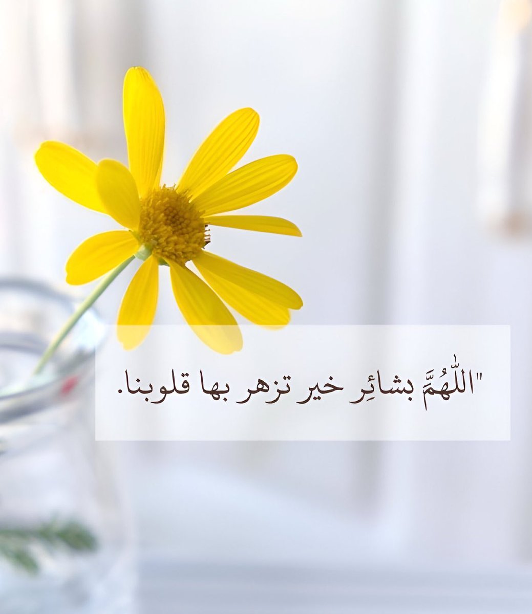 غرااااام 2 tweet media