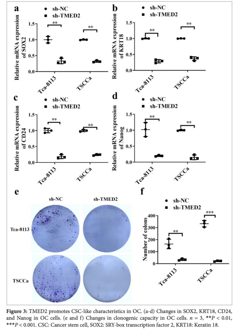 Cytojournal tweet media