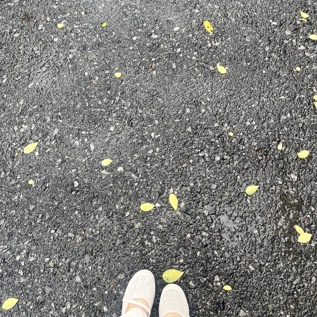 victorgiftcode's tweet photo. @ploypuanggg skechers คือคุ้มค่ามาก ไปเที่ยวทีไร เดิน 15,000 ก้าว กลับบ้านมาไม่ปวดขาเลย แล้วน่ารักมากเลือกแบบลูกไม้น่ารัก และคุ้มมาก ราคาก็เลิศ👍🏻 https://t.co/aFifBtE8K9