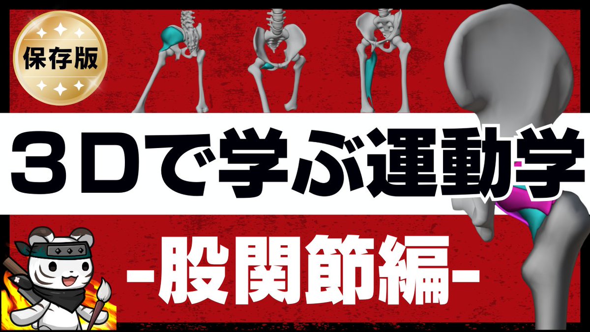 pttiger0228's tweet photo. 動画更新しました！
股関節を基礎から学びたい人にオススメです🙂
https://t.co/VuwWPjg05d https://t.co/GQb9YbVYrr