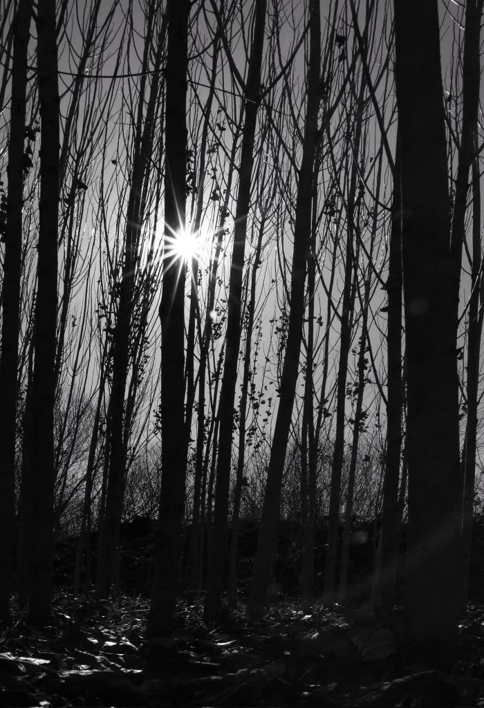 Gm!

"Sun rays"
10/15 edition   7 #tezos

#photography
Link:
objkt.com/tokens/hicetnu…