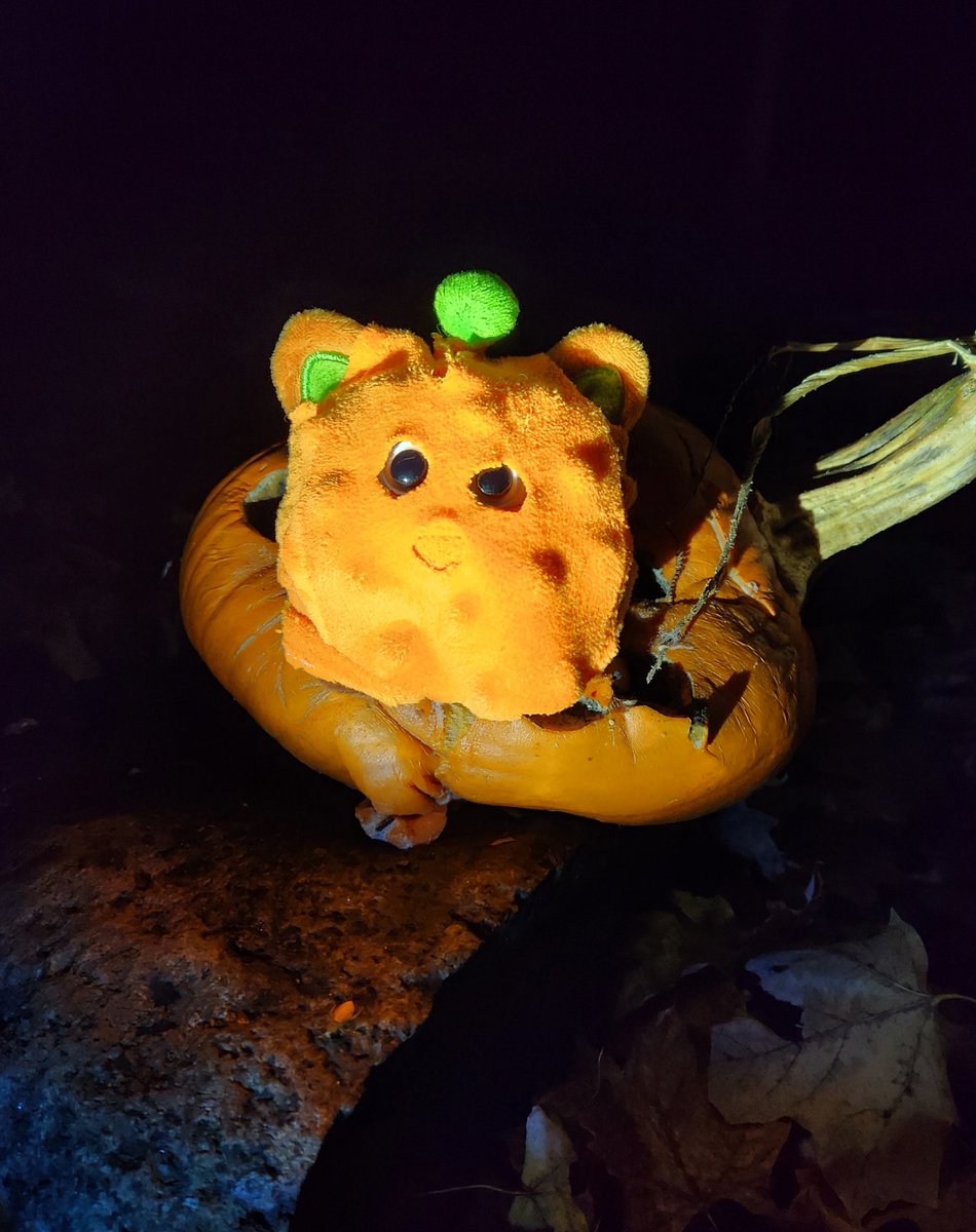 He loves to recycle so I wasn't surprised when he was a rotting pumpkin for Halloween

<a href="/itemLabel/">itemLabel</a>
#itemlabelUnendingNightmare