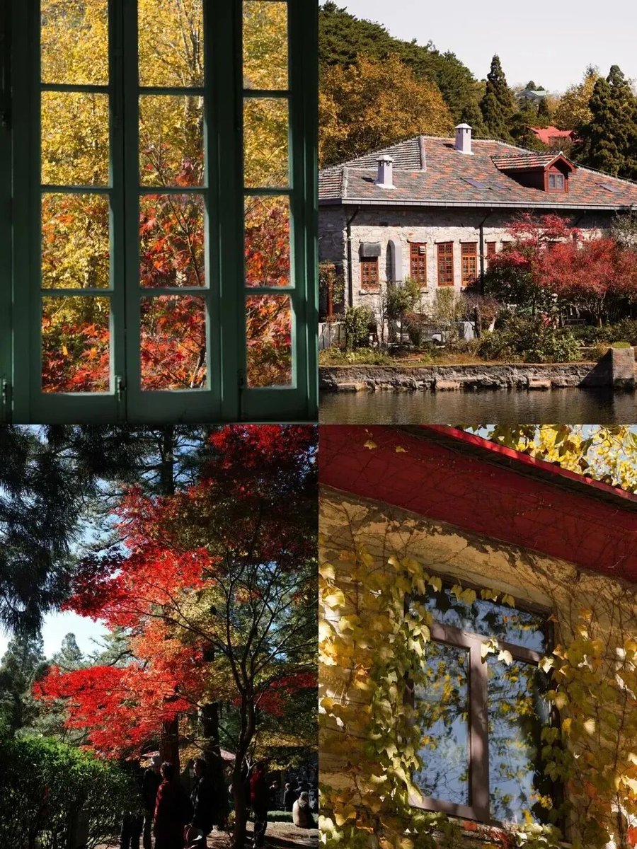 Beautiful Jiangxi: Lushan Mountain has always been a paradise for photographers, especially in autumn. As a UNESCO World Heritage Site, it is known for its majestic views. In autumn, red maples, golden ginkgoes, and drifting mist create a scene that looks like a painting.