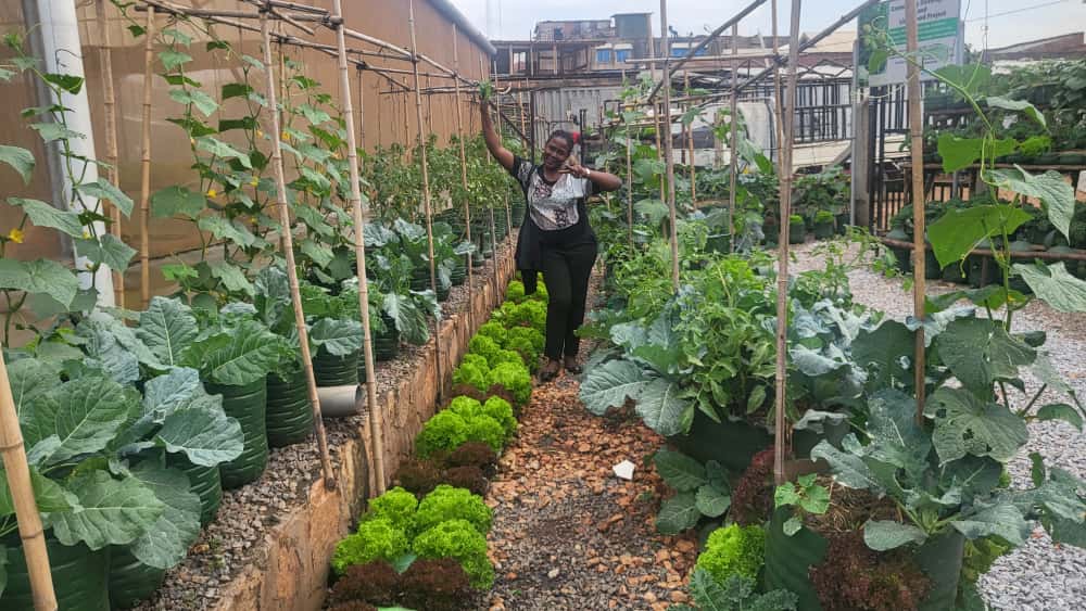 Do you know a kitchen garden? every home, church, office &amp; community needs one  to support with fresh vegetables and reduce on the money we put in the markets as well as our diets.
<a href="/HgtUganda/">Holland Greentech Uganda</a> <a href="/zealous_farmer/">Zealous Farmer🍅🫑🍆🥦🚜</a> <a href="/DaganNamulinde/">Namulinde Dagan</a> 
<a href="/MAAIF_Uganda/">MAAIF 🇺🇬</a>
<a href="/narouganda/">NARO Uganda</a> <a href="/SandraNabasirye/">Slay Farmer😍</a>