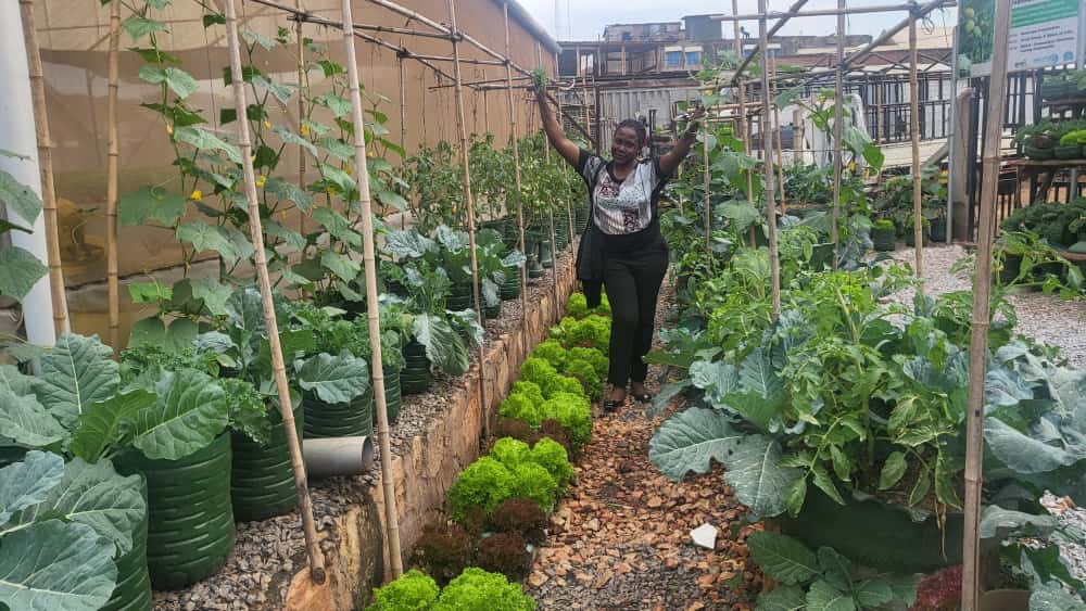deborahnamande2's tweet photo. Do you know a kitchen garden? every home, church, office &amp; community needs one  to support with fresh vegetables and reduce on the money we put in the markets as well as our diets.
@HgtUganda @zealous_farmer @DaganNamulinde 
@MAAIF_Uganda
@narouganda @SandraNabasirye https://t.co/gHMbekX3fY
