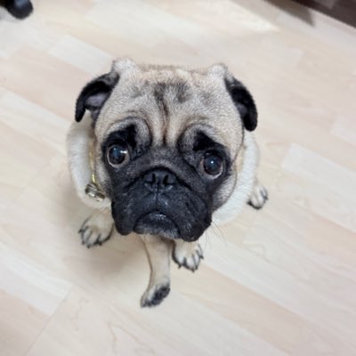 malairat2725's tweet photo. #NewProfilePic https://t.co/RypC8sjPoP