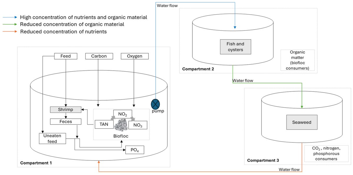 Fishes_MDPI's tweet photo. 🐟#HighlyCited #EditorsChoice

#CircularityAssessment in #Aquaculture: The Case of Integrated Multi-Trophic Aquaculture (IMTA) Systems
👉https://t.co/zKpSuC3p89

🌊#nutrients #bioremediation #resourceuse https://t.co/MyHo85mguz