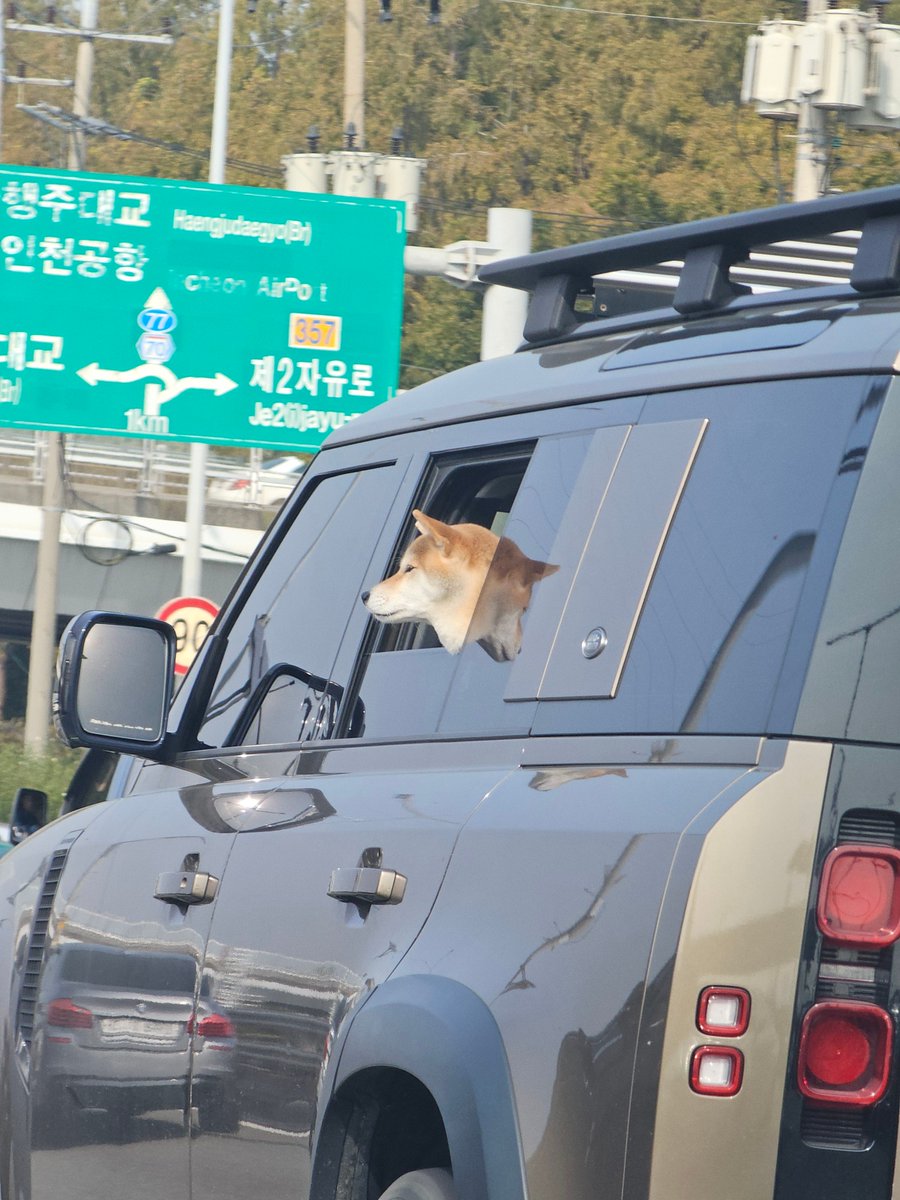 진짜 너무 귀여운걸 봤어요