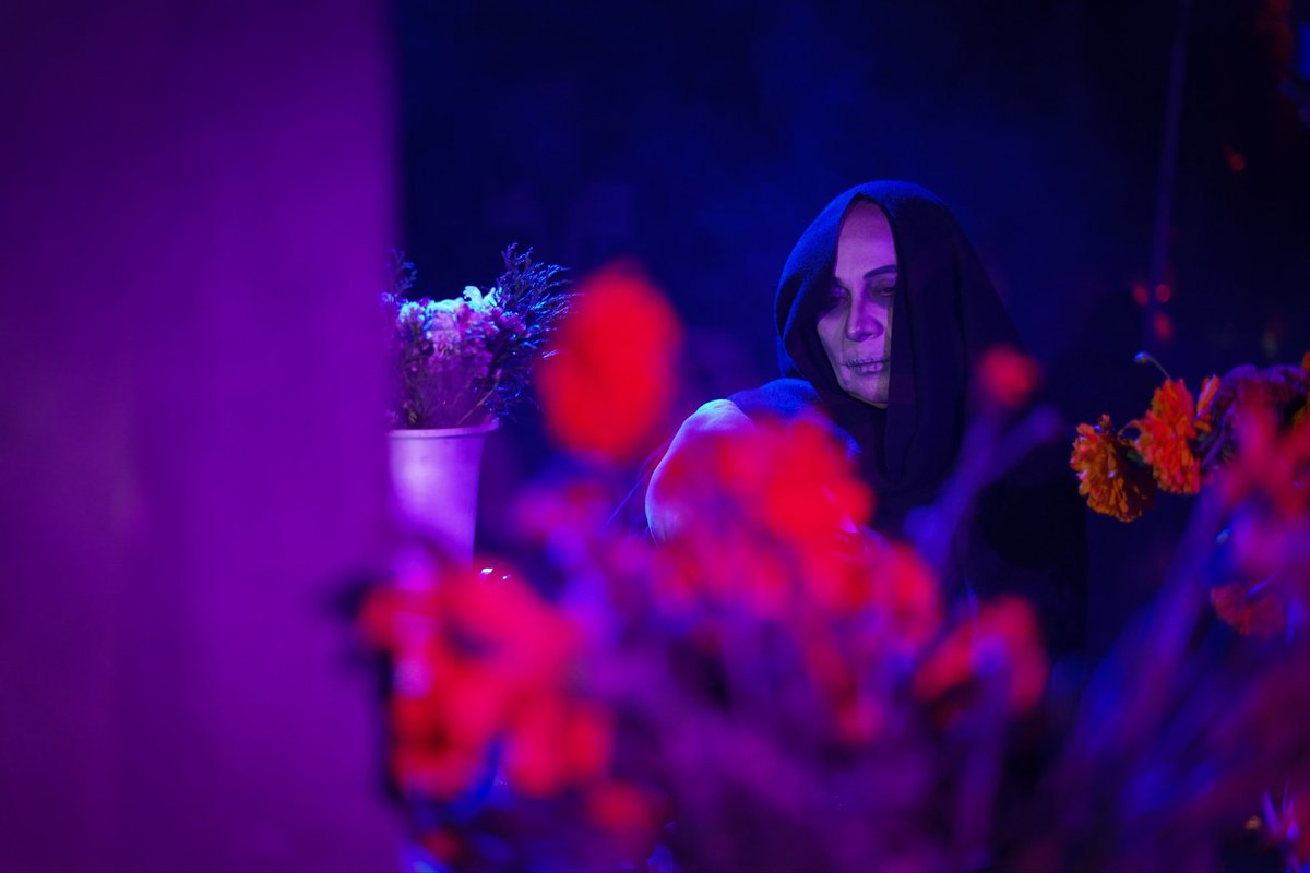 Secretaría de Economía y Turismo tweet media